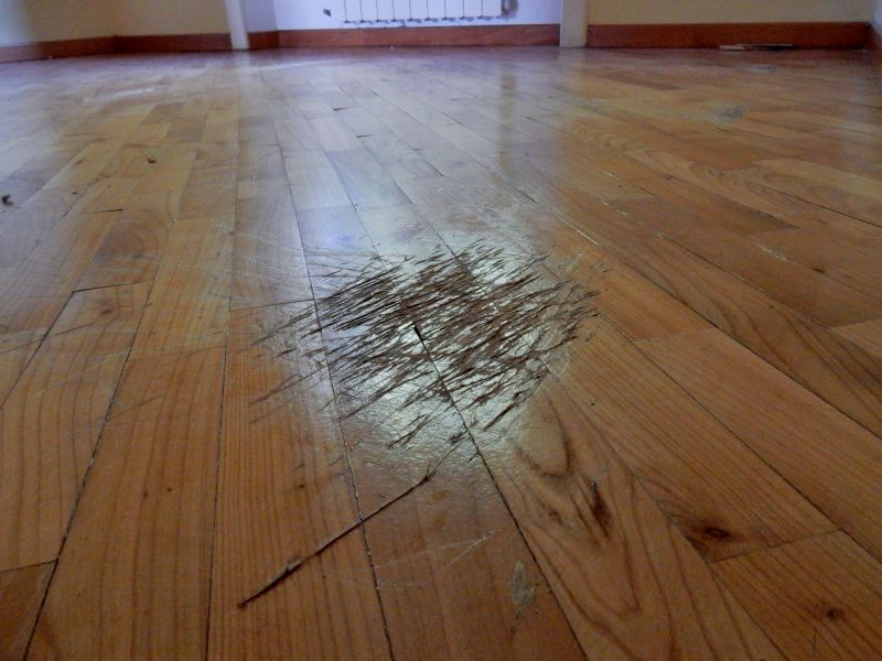 Wood Floor Scratches Repair